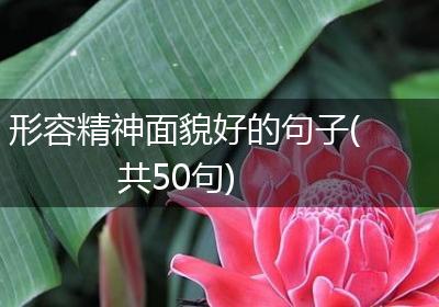 形容精神面貌好的句子(共50句)