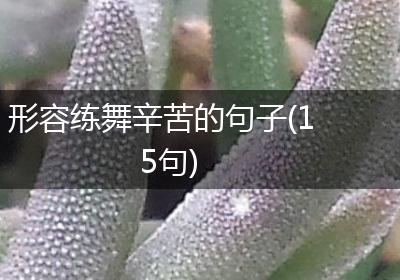 形容练舞辛苦的句子(15句)