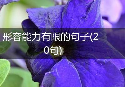 形容能力有限的句子(20句)