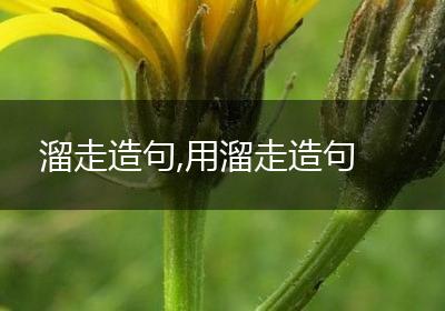 溜走造句,用溜走造句