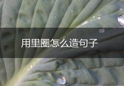 用里圈怎么造句子