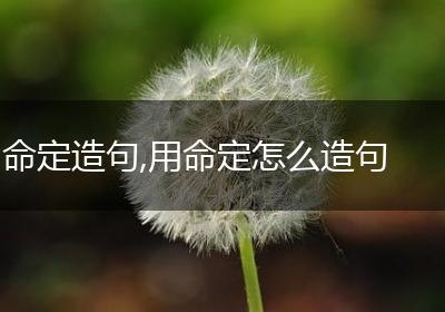 命定造句,用命定怎么造句