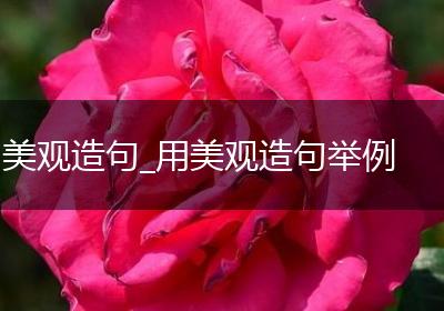 美观造句_用美观造句举例