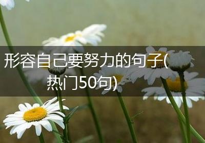 形容自己要努力的句子(热门50句)