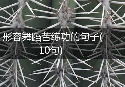 形容舞蹈苦练功的句子(10句)