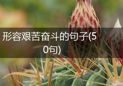 形容艰苦奋斗的句子(50句)