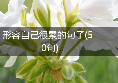 形容自己很累的句子(50句)