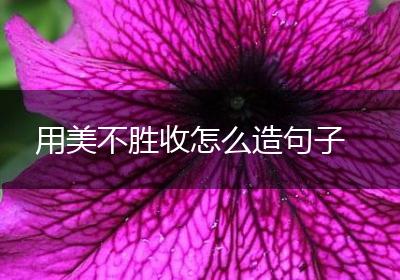 用美不胜收怎么造句子