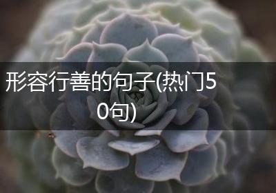 形容行善的句子(热门50句)