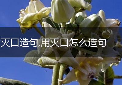 灭口造句,用灭口怎么造句