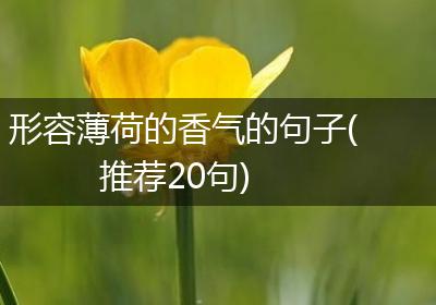 形容薄荷的香气的句子(推荐20句)
