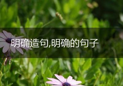 明确造句,明确的句子
