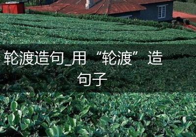 轮渡造句_用“轮渡”造句子
