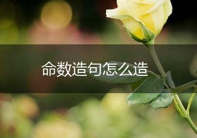 命数造句怎么造