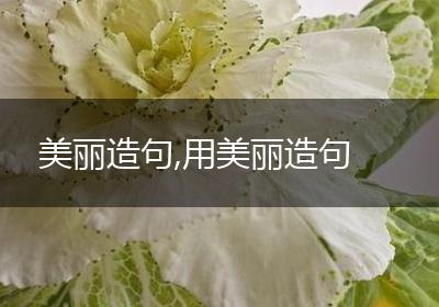 美丽造句,用美丽造句