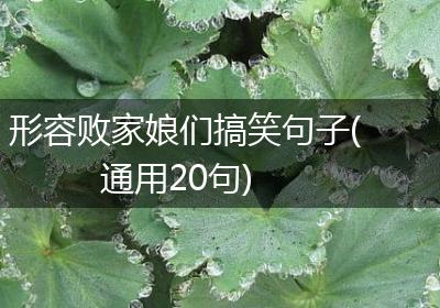 形容败家娘们搞笑句子(通用20句)