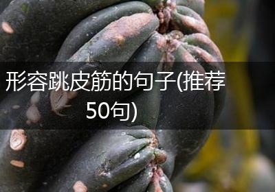 形容跳皮筋的句子(推荐50句)