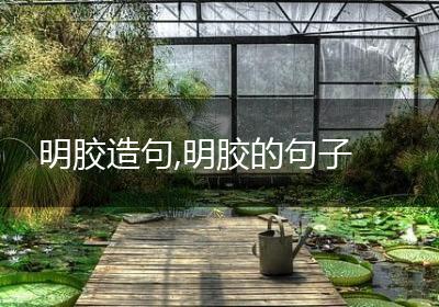 明胶造句,明胶的句子