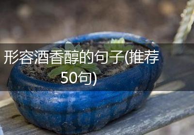 形容酒香醇的句子(推荐50句)