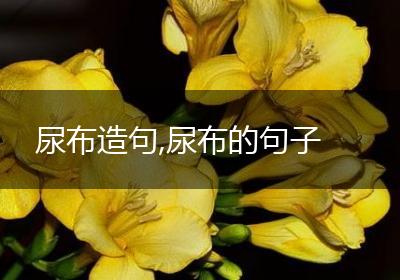 尿布造句,尿布的句子