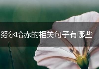 努尔哈赤的相关句子有哪些
