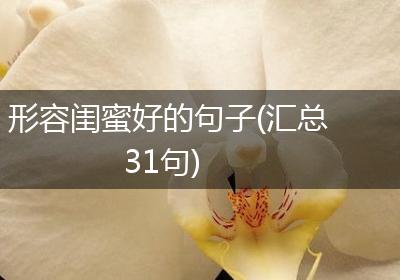 形容闺蜜好的句子(汇总31句)