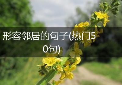 形容邻居的句子(热门50句)