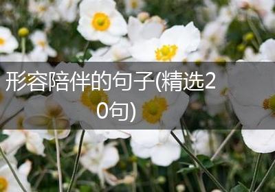 形容陪伴的句子(精选20句)