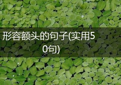 形容额头的句子(实用50句)