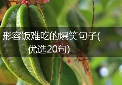 形容饭难吃的爆笑句子(优选20句)