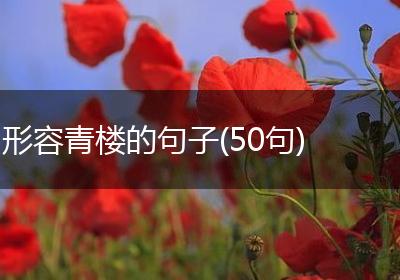 形容青楼的句子(50句)