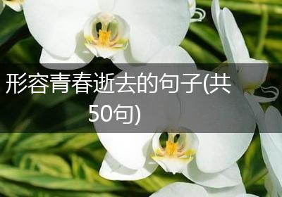 形容青春逝去的句子(共50句)