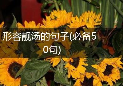 形容靓汤的句子(必备50句)