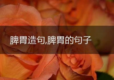 脾胃造句,脾胃的句子