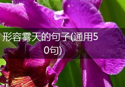形容雾天的句子(通用50句)