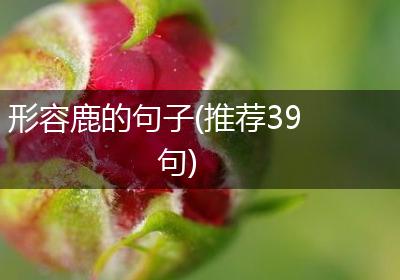 形容鹿的句子(推荐39句)