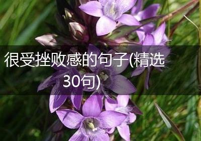 很受挫败感的句子(精选30句)