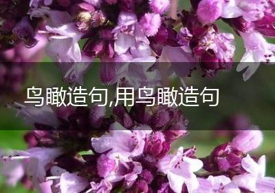 鸟瞰造句,用鸟瞰造句