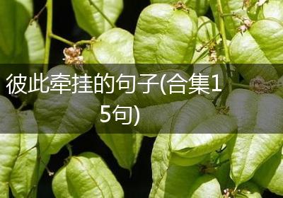 彼此牵挂的句子(合集15句)