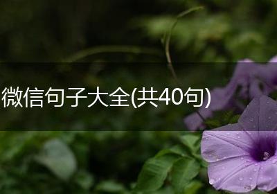 微信句子大全(共40句)