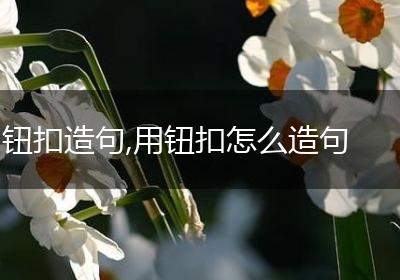 钮扣造句,用钮扣怎么造句