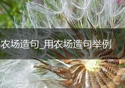 农场造句_用农场造句举例