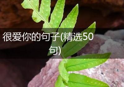 很爱你的句子(精选50句)