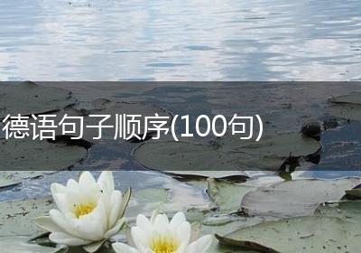 德语句子顺序(100句)