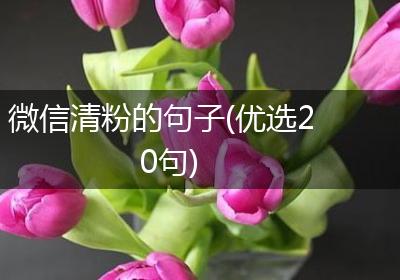 微信清粉的句子(优选20句)