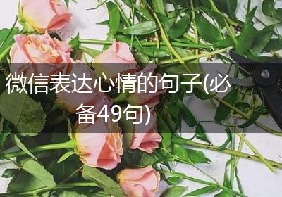微信表达心情的句子(必备49句)