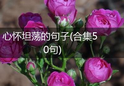 心怀坦荡的句子(合集50句)