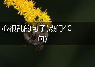 心很乱的句子(热门40句)