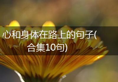 心和身体在路上的句子(合集10句)