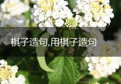 棋子造句,用棋子造句